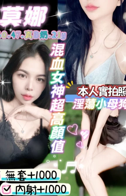 桃園定點茶-莫娜/160/47/21/B