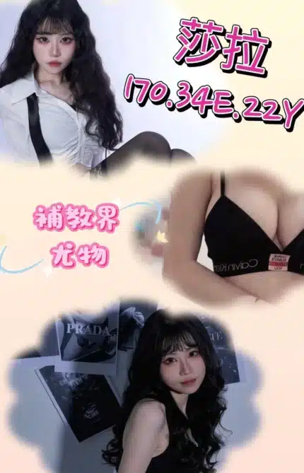 台北外送茶-莎拉/170/?/22/E