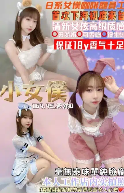 桃園定點茶-小女僕/164/45/18/D