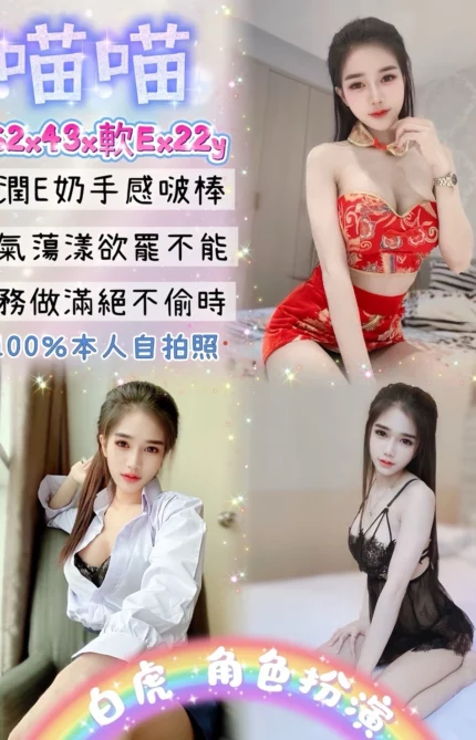 台北定點茶-喵喵/162/43/22/E