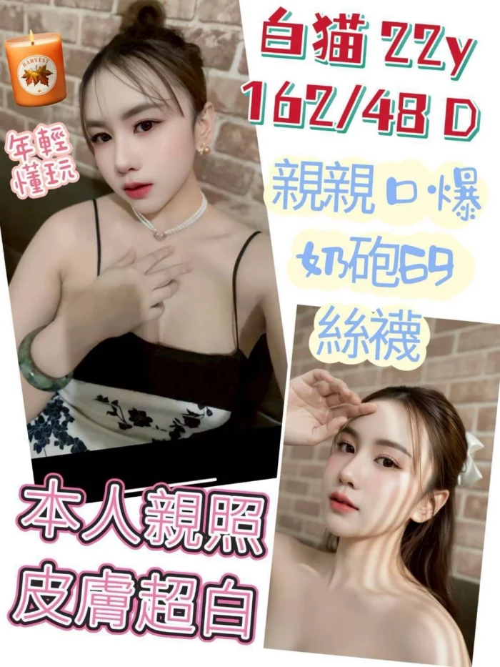 台中定點茶-白貓/162/48/22/D