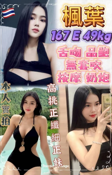 新北定點茶-楓葉/167/49/23/E