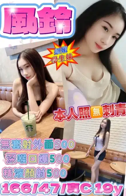 新北定點茶-風鈴/166/47/19/C