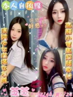 雲林定點茶-芝芝/157/46/24/C