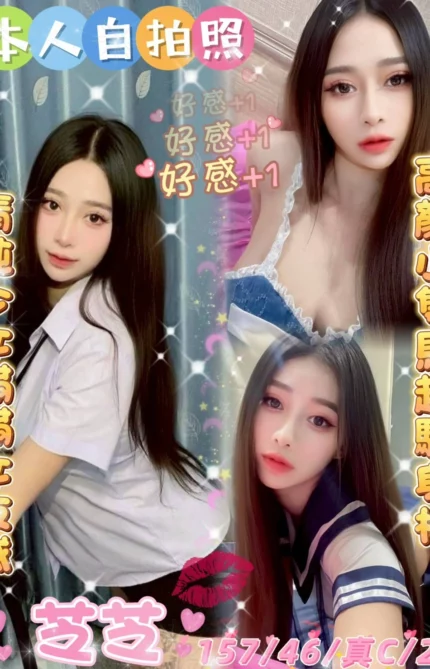 雲林定點茶-芝芝/157/46/24/C
