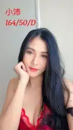 嘉義定點茶-小沛/164/50/?/D