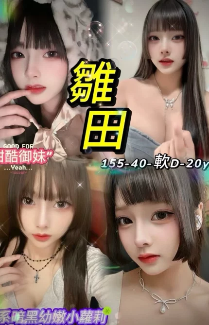 台北定點茶-雛田/155/40/20/D