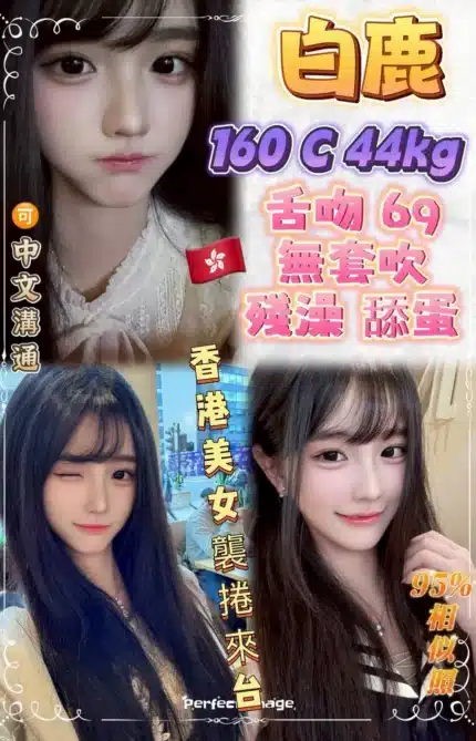 新北定點茶-白鹿/160/44/?/C