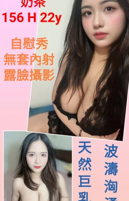 台北定點茶-奶茶/156/?/22/H