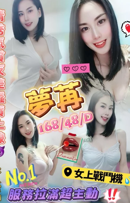 金門定點茶-夢苒/168/48/?/D