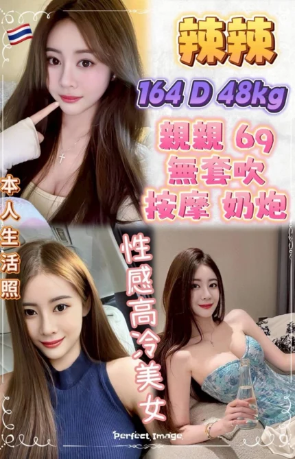 新北定點茶-辣辣/164/48/24/D