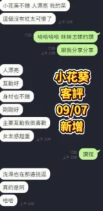 台南定點茶-小花葵/160/46/19/E