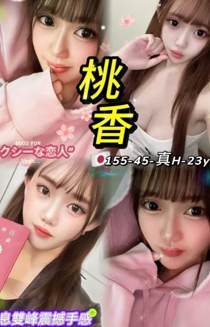 台北定點茶-桃香/155/45/23/H