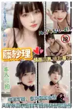 新竹定點茶-藤紗理/160/45/21/D