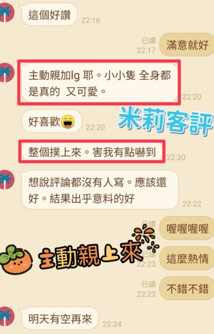 南投定點茶-米莉/152/40/22/D