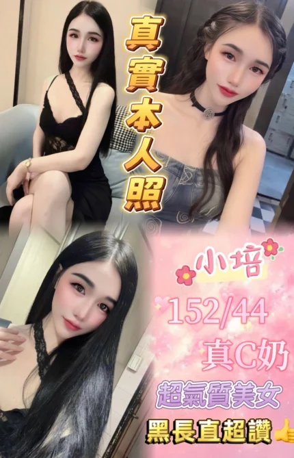 台北定點茶-小培/152/44/23/C