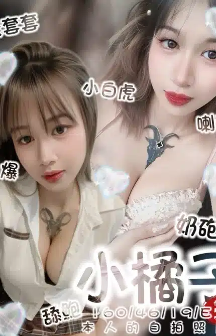台南定點茶-小橘子/160/46/19/E