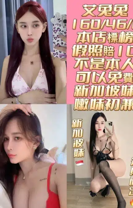 台南定點茶-艾兔兔/160/46/21/D