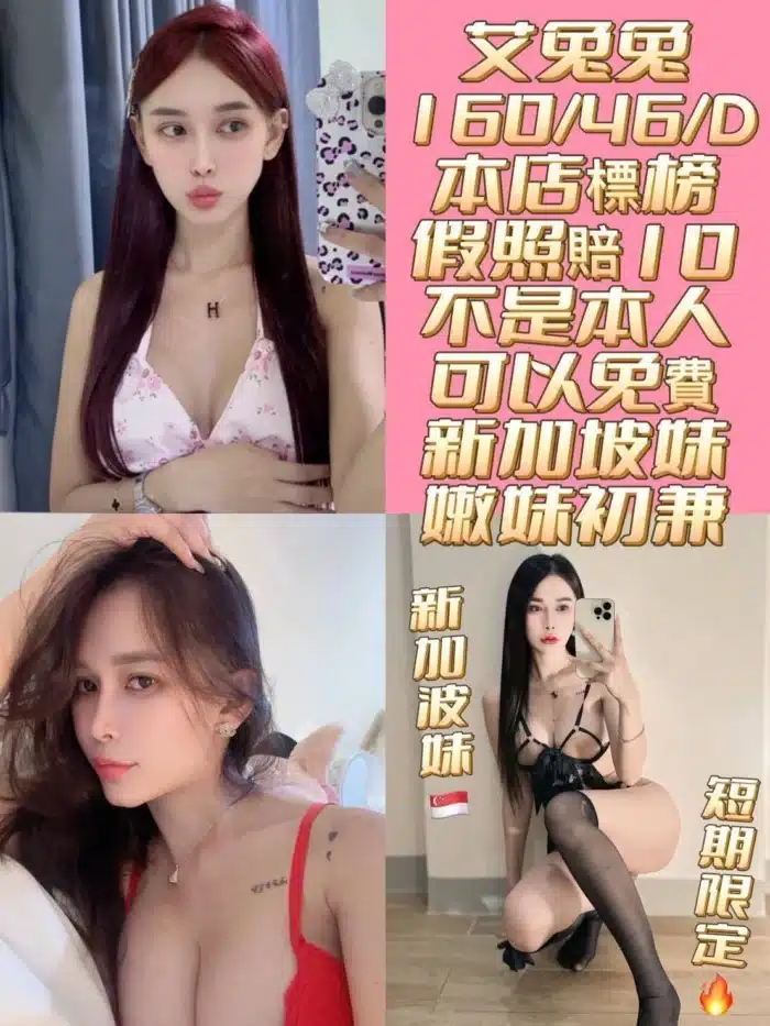 台南定點茶-艾兔兔/160/46/21/D