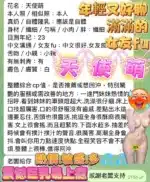 高雄定點茶-天使萌/161/43/?/G