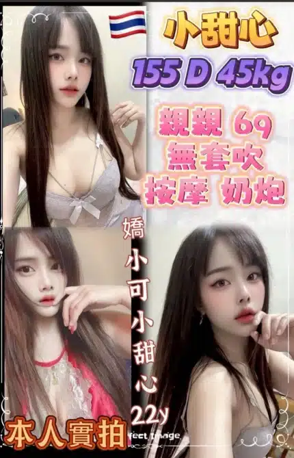 新北定點茶-小甜心/155/45/22/D