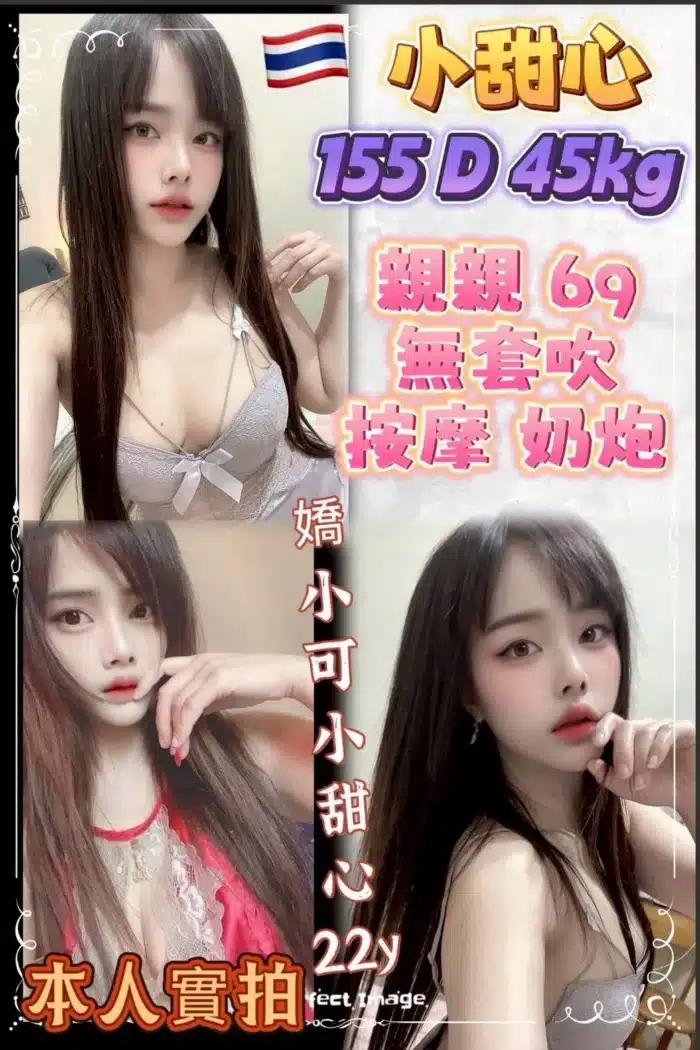 新北定點茶-小甜心/155/45/22/D