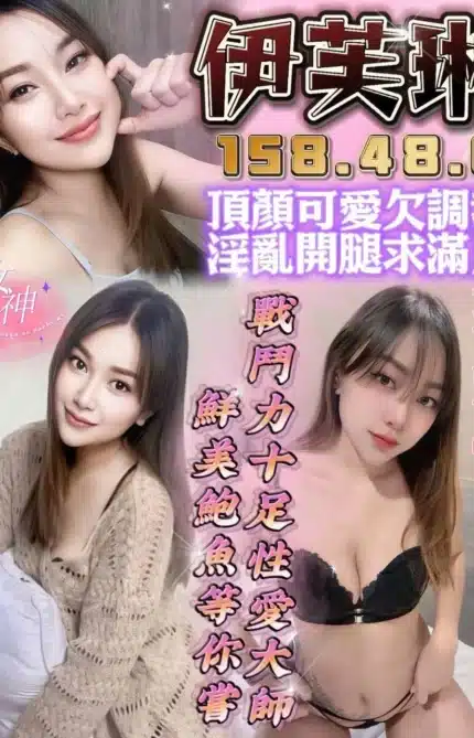 台中定點茶-伊芙琳/158/48/?/C
