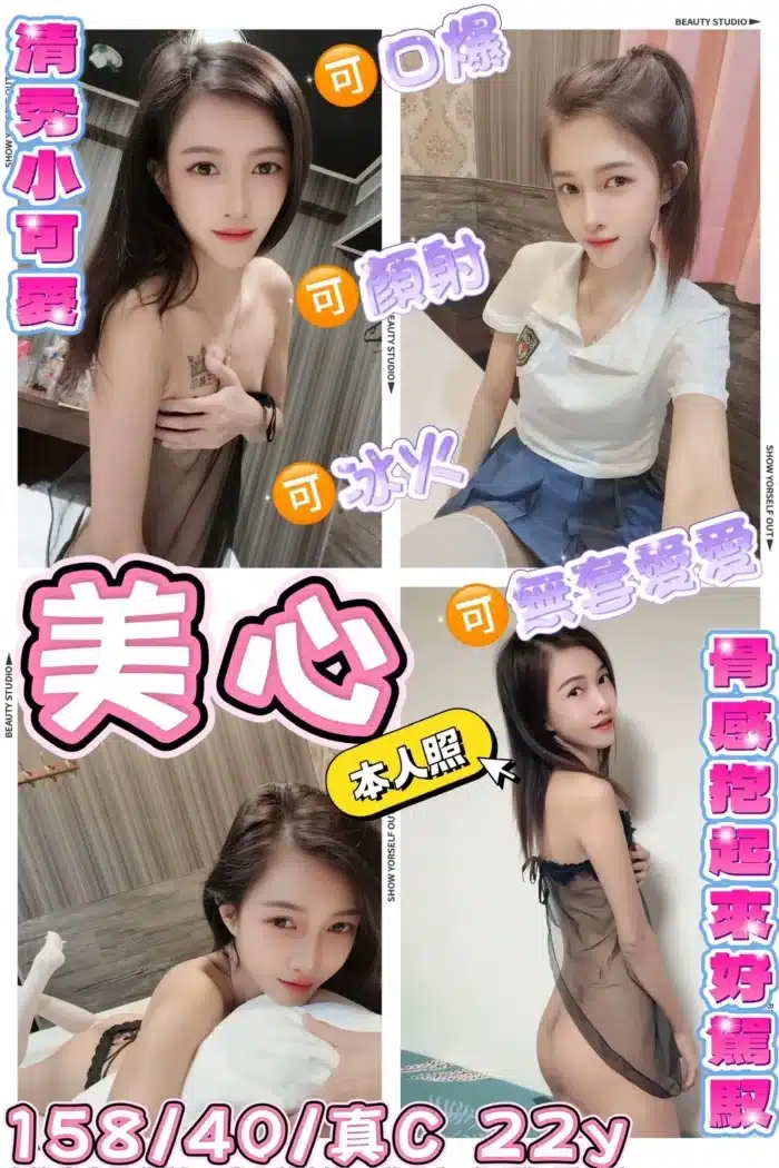 新北定點茶-美心/158/40/22/C