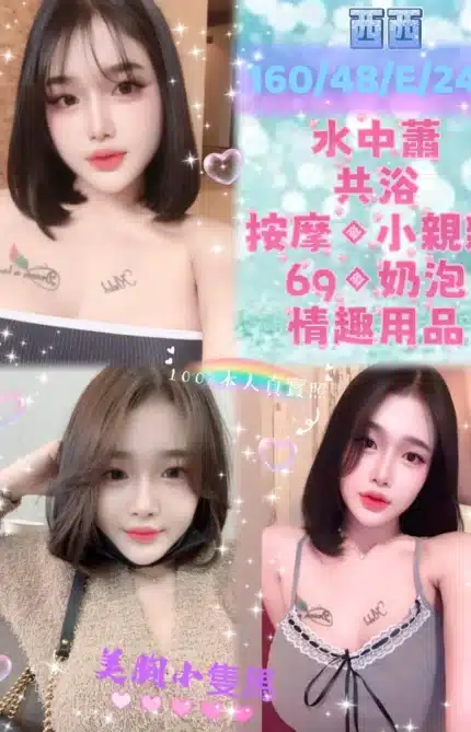 新北定點茶-西西/160/48/24/E
