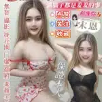 屏東定點茶-宋恩/160/48/25/E