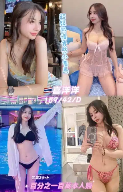 桃園定點茶-喜洋洋/159/42/25/D