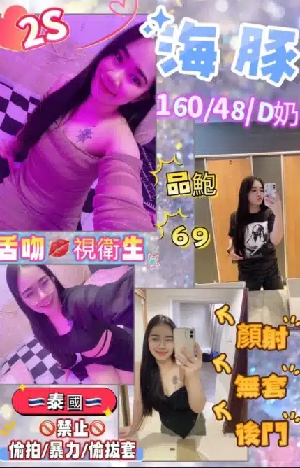 花蓮定點茶-海豚/160/48/?/D