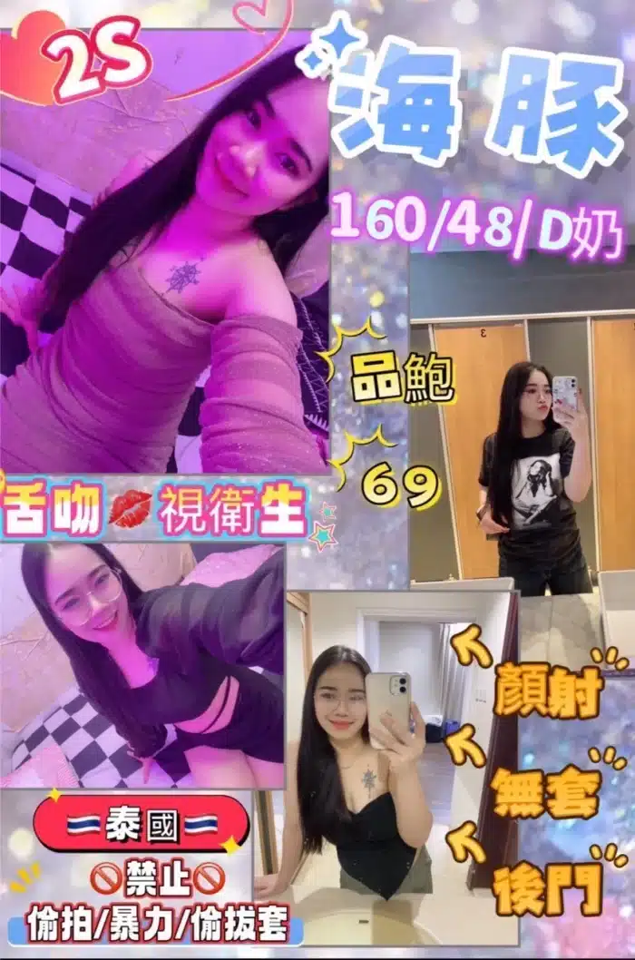 花蓮定點茶-海豚/160/48/?/D