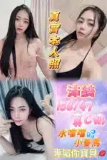 台北定點茶-沛綺/158/47/23/C