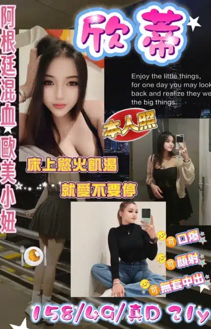 桃園定點茶-欣蒂/158/49/21/D