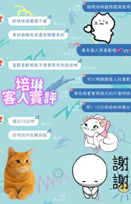 台中定點茶-培琳/165/47/?/D