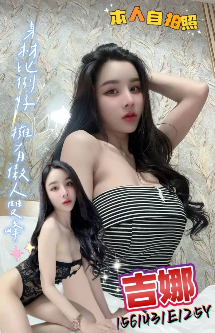 新北定點茶-吉娜/156/43/25/E
