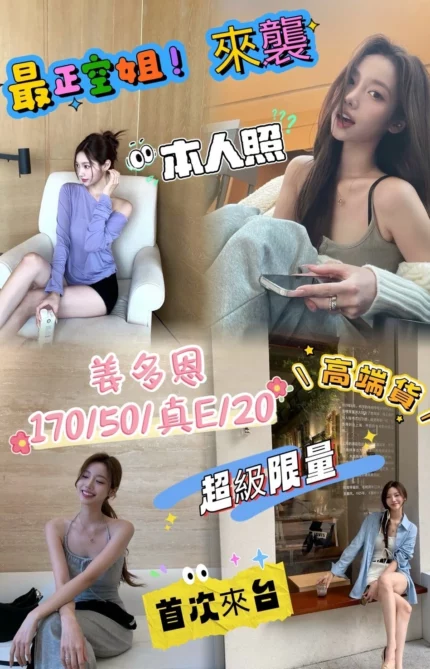 台中定點茶-姜多恩/170/50/20/E