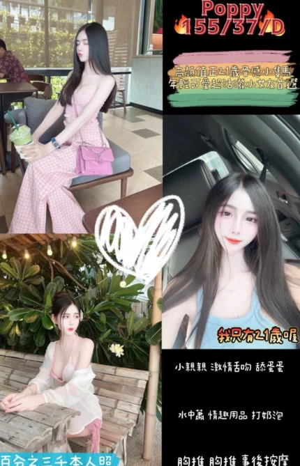 桃園定點茶-Poppy/155/37/?/D