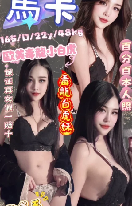 台北定點茶-馬卡/165/48/22/D