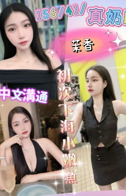 彰化定點茶-茉香/156/41/20/E