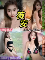 台北定點茶-薇安/161/42/22/C