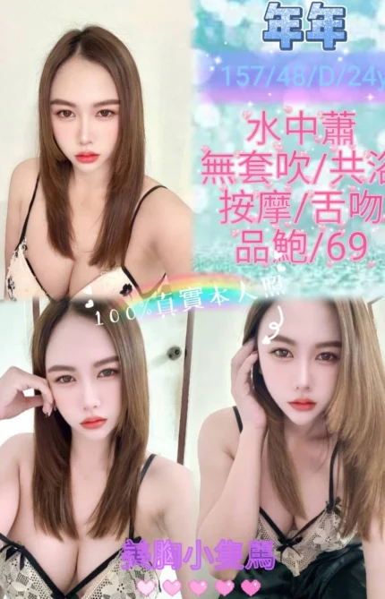 新北定點茶-年年/157/48/24/D