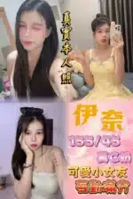 新北定點茶-伊奈/155/45/22/C