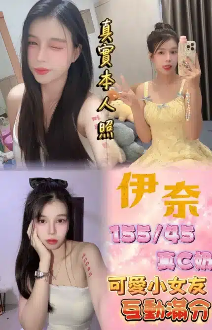 新北定點茶-伊奈/155/45/22/C