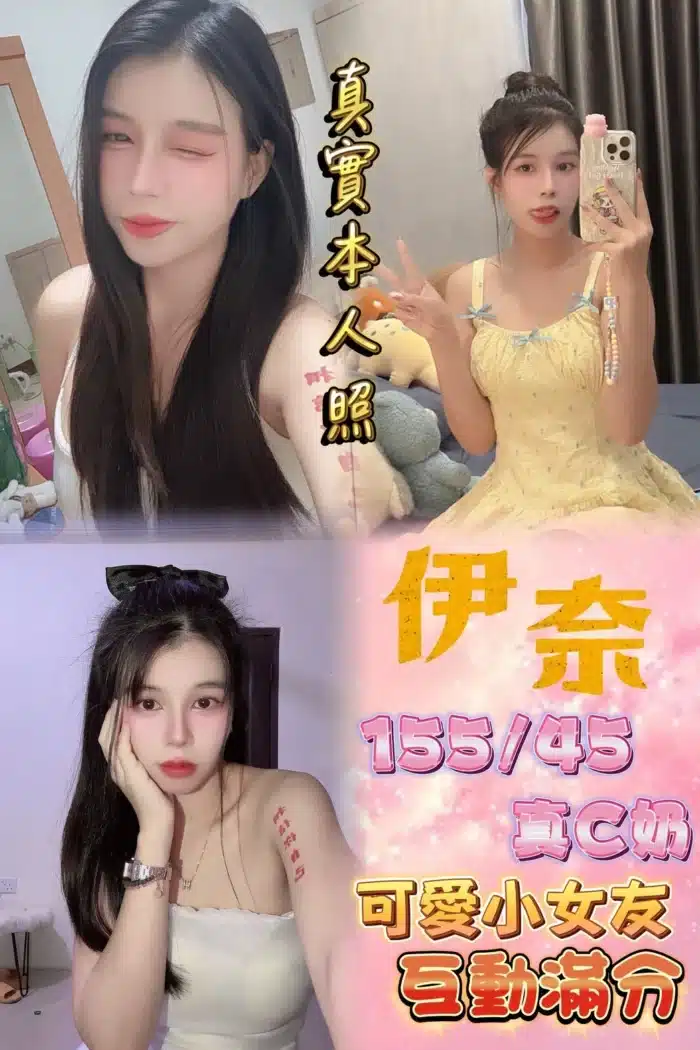 新北定點茶-伊奈/155/45/22/C