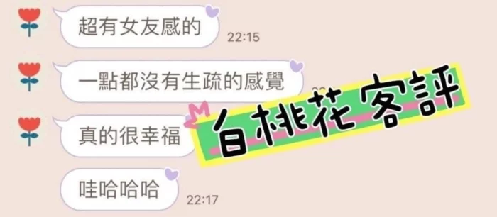 台中定點茶-白桃花/155/40/?/C