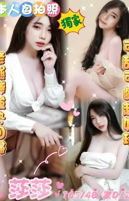 雲林定點茶-莎莎/165/48/25/D