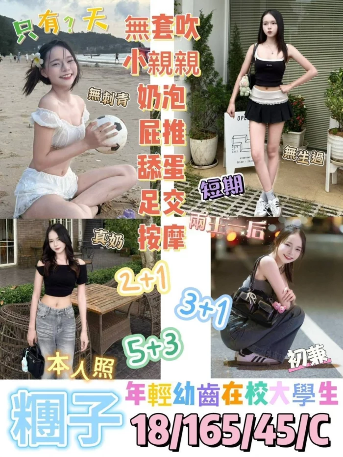 台東定點茶-糰子/165/45/18/C