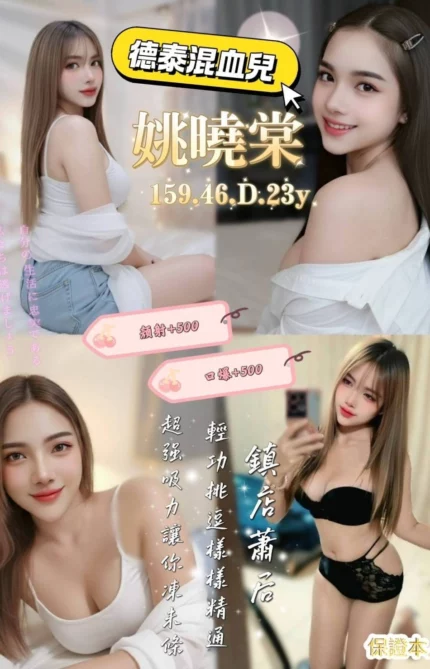 桃園定點茶-姚曉棠/159/46/23/D